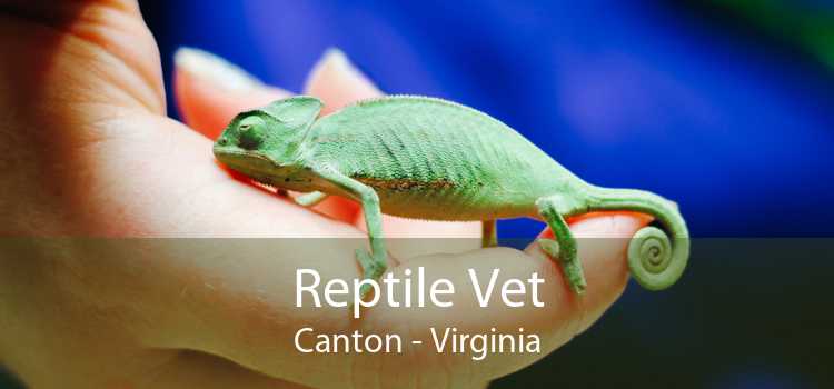 Reptile Vet Canton - Virginia