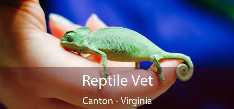 Reptile Vet Canton - Virginia