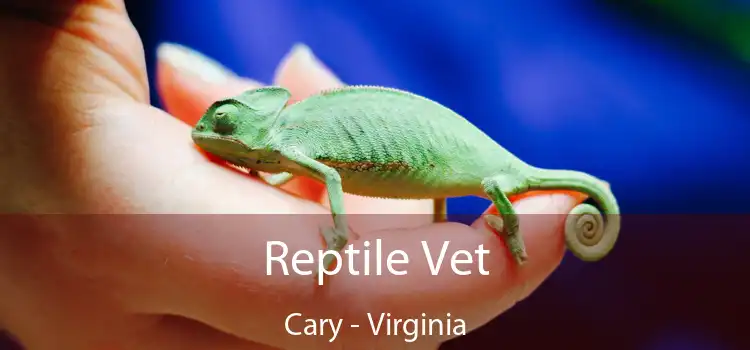 Reptile Vet Cary - Virginia