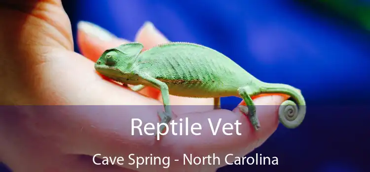 Reptile Vet Cave Spring - North Carolina