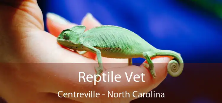 Reptile Vet Centreville - North Carolina