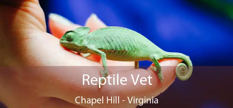 Reptile Vet Chapel Hill - Virginia