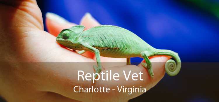 Reptile Vet Charlotte - Virginia