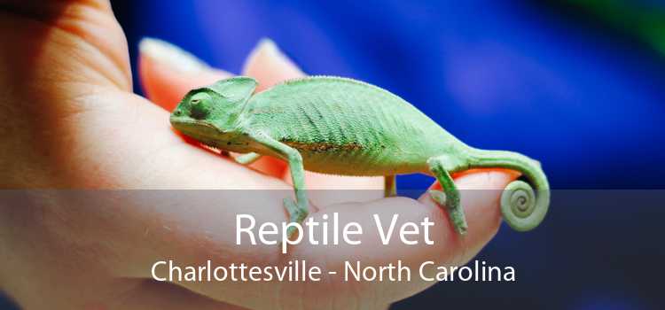 Reptile Vet Charlottesville - North Carolina