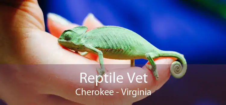 Reptile Vet Cherokee - Virginia