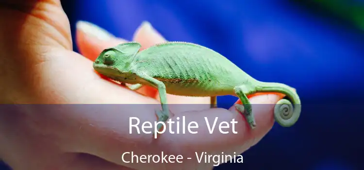 Reptile Vet Cherokee - Virginia