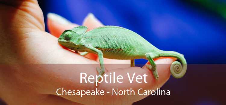 Reptile Vet Chesapeake - North Carolina