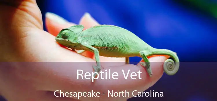 Reptile Vet Chesapeake - North Carolina