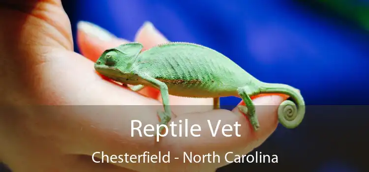 Reptile Vet Chesterfield - North Carolina