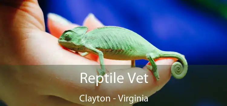 Reptile Vet Clayton - Virginia