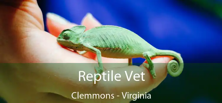 Reptile Vet Clemmons - Virginia