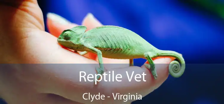 Reptile Vet Clyde - Virginia