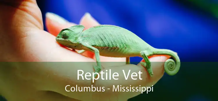 Reptile Vet Columbus - Mississippi