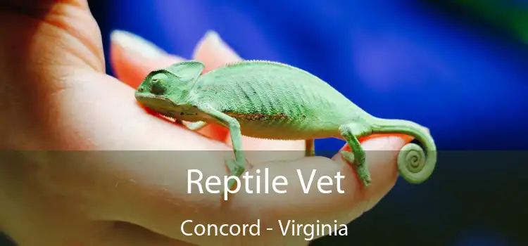 Reptile Vet Concord - Virginia
