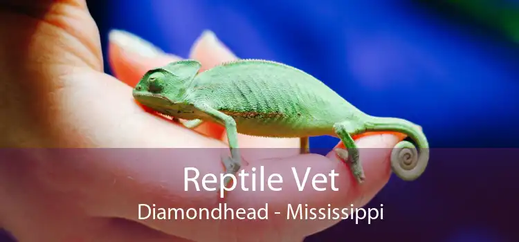 Reptile Vet Diamondhead - Mississippi