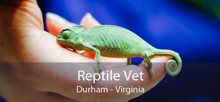 Reptile Vet Durham - Virginia