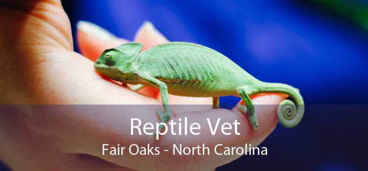 Reptile Vet Fair Oaks - North Carolina