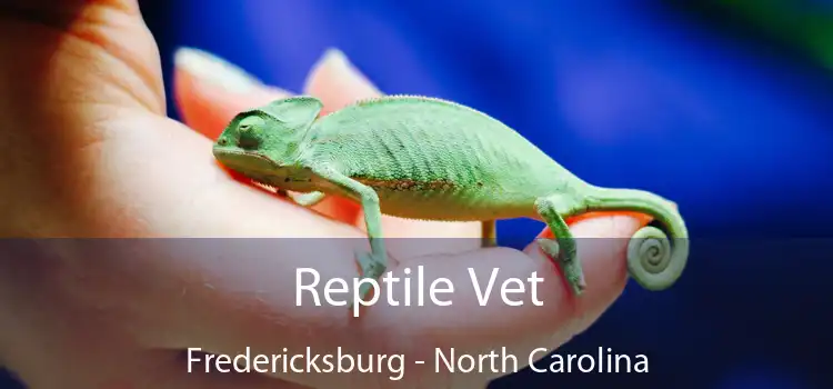 Reptile Vet Fredericksburg - North Carolina