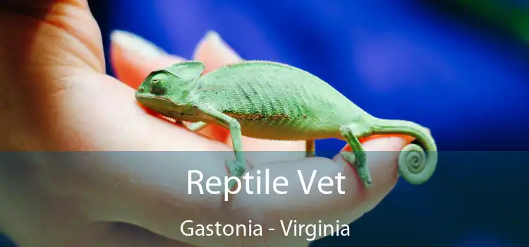 Reptile Vet Gastonia - Virginia