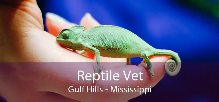Reptile Vet Gulf Hills - Mississippi