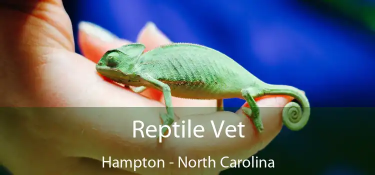 Reptile Vet Hampton - North Carolina