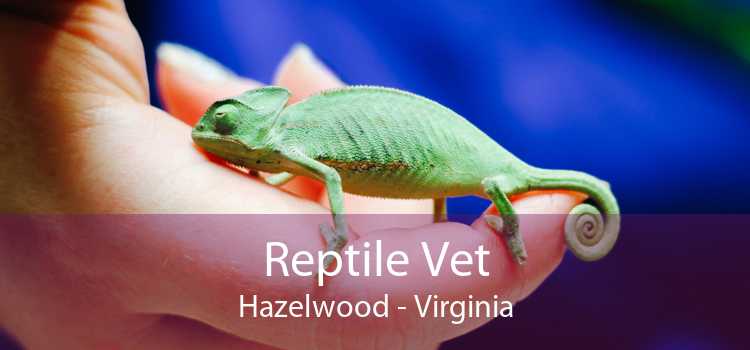 Reptile Vet Hazelwood - Virginia