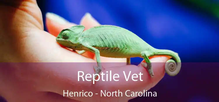 Reptile Vet Henrico - North Carolina