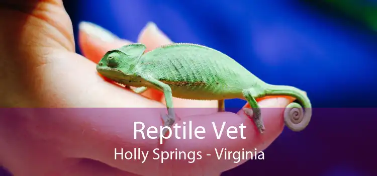 Reptile Vet Holly Springs - Virginia