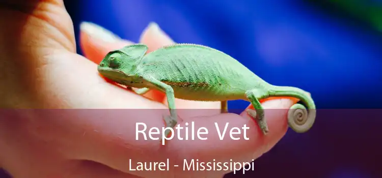 Reptile Vet Laurel - Mississippi