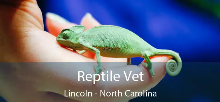 Reptile Vet Lincoln - North Carolina