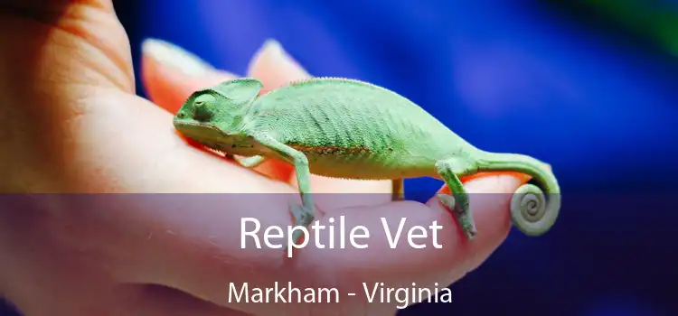 Reptile Vet Markham - Virginia