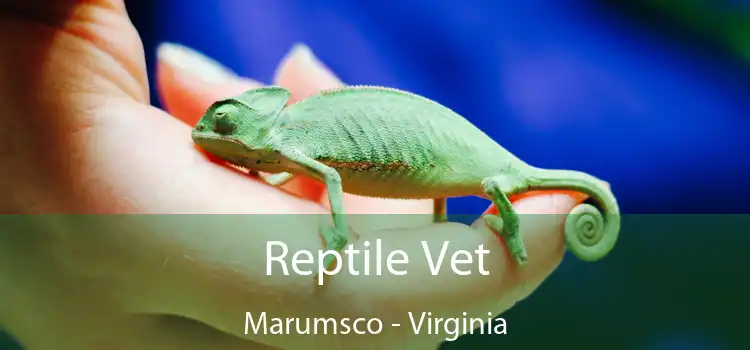 Reptile Vet Marumsco - Virginia