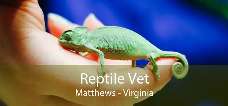 Reptile Vet Matthews - Virginia