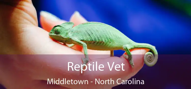 Reptile Vet Middletown - North Carolina