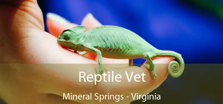 Reptile Vet Mineral Springs - Virginia