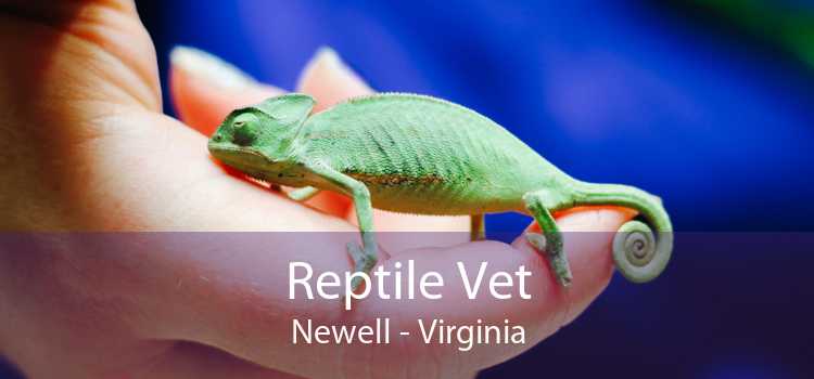 Reptile Vet Newell - Virginia