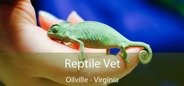 Reptile Vet Oilville - Virginia