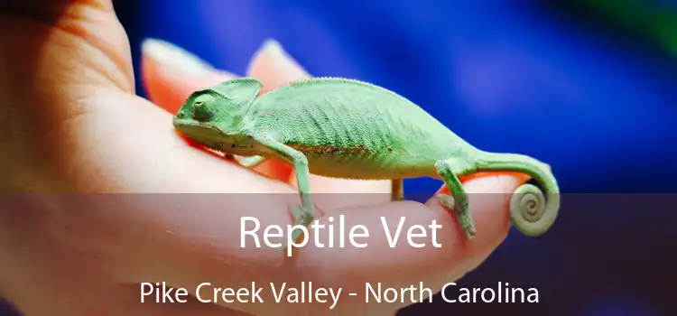 Reptile Vet Pike Creek Valley - North Carolina