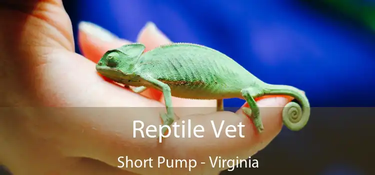 Reptile Vet Short Pump - Virginia