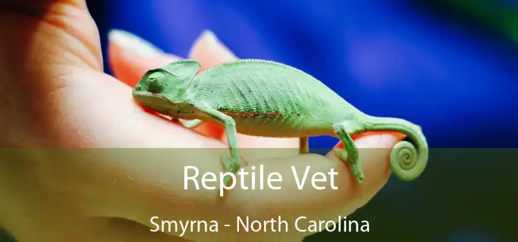 Reptile Vet Smyrna - North Carolina