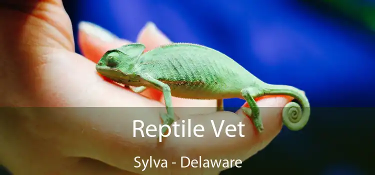 Reptile Vet Sylva - Delaware