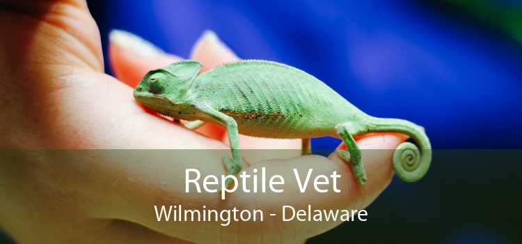Reptile Vet Wilmington - Delaware