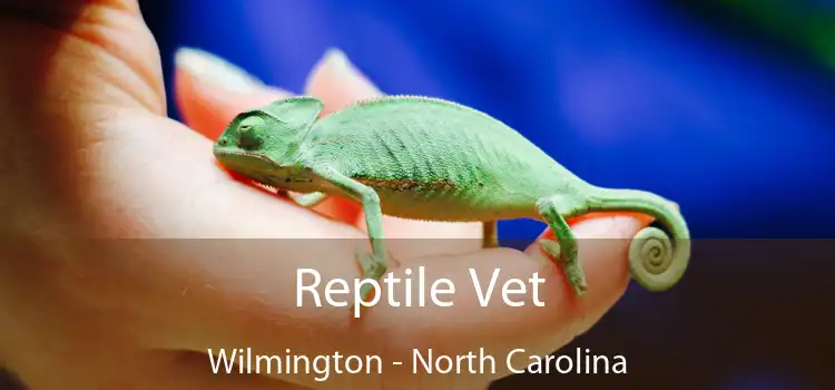 Reptile Vet Wilmington - North Carolina