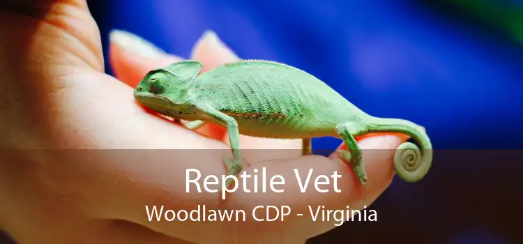 Reptile Vet Woodlawn CDP - Virginia