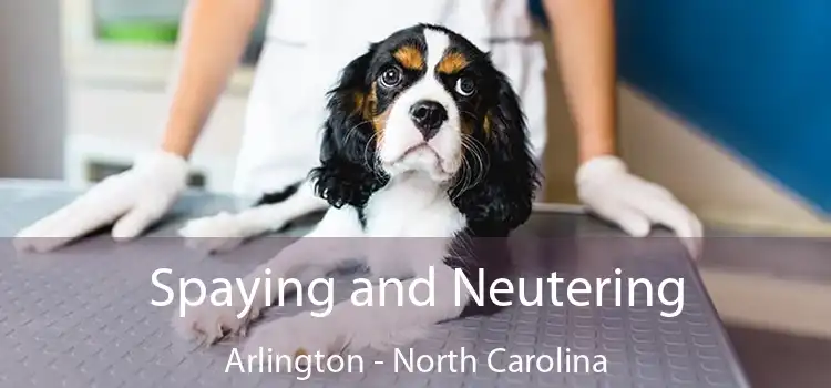 Spaying and Neutering Arlington - North Carolina