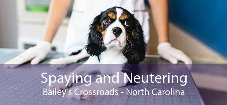 Spaying and Neutering Bailey's Crossroads - North Carolina