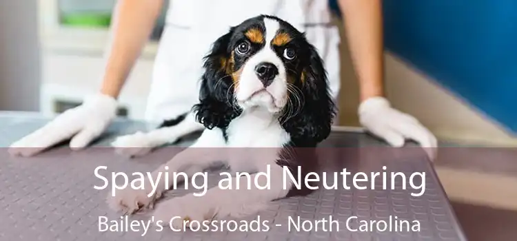 Spaying and Neutering Bailey's Crossroads - North Carolina