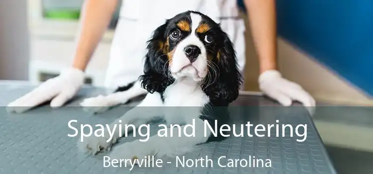 Spaying and Neutering Berryville - North Carolina