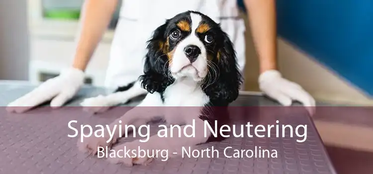 Spaying and Neutering Blacksburg - North Carolina