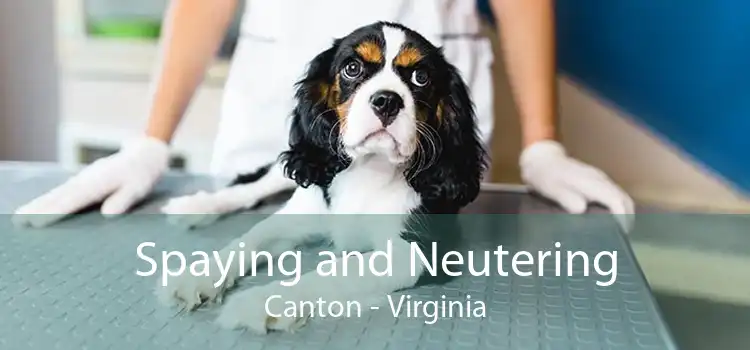 Spaying and Neutering Canton - Virginia